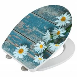 WENKO WC-Sitz Asteride - Duroplast / Acryl - Mehrfarbig -Badaccessoires Verkäufe 1000243179 210129 09332300665 DETAILS P000000001000243179