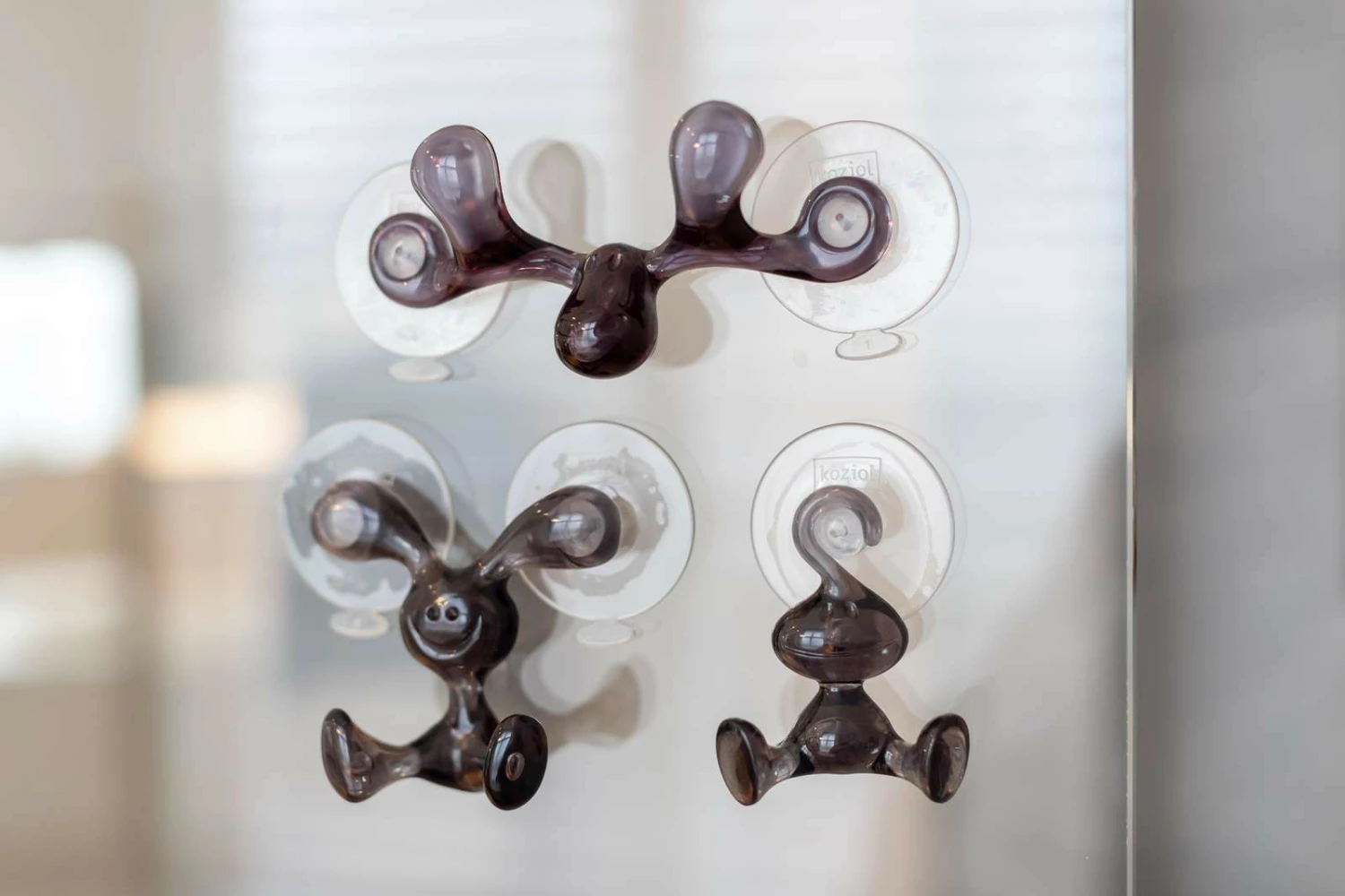 Koziol Handtuchhaken mit Saugnapf MORITZ 7 Koziol Handtuchhaken mit Saugnapf MORITZ – Bild 5