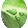 SANILO® WC-Sitz mit Absenkautomatik Green Leaf -Badaccessoires Verkäufe 90c01d49c9874b789e403aa5bd738b86 1
