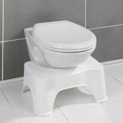 WENKO Toilettenhocker aus Kunststoff -Badaccessoires Verkäufe a1c0ce2c3f644b699711fad6a2c04ae6