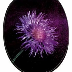 SANILO® WC-Sitz mit Absenkautomatik Purple Dust