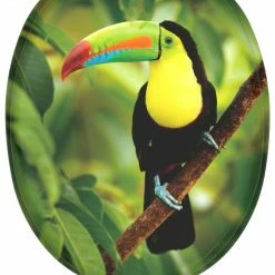 SANILO® WC-Sitz mit Absenkautomatik Toucan