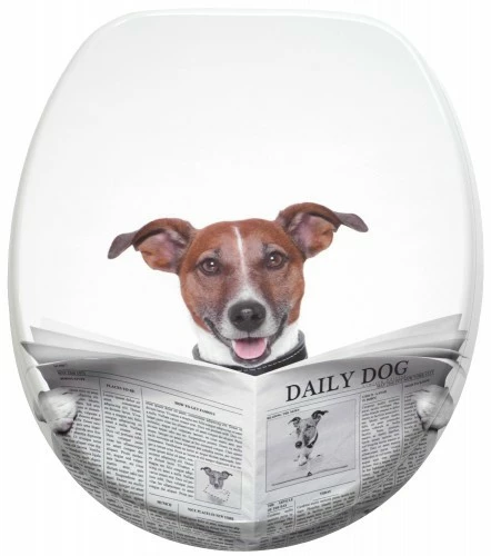 SANILO® WC-Sitz Newspaper 3 SANILO® WC-Sitz Newspaper