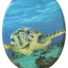 SANILO® WC-Sitz Schildkröte -Badaccessoires Verkäufe e5a4022d46a84ec980efa6e422cd3d0e 1