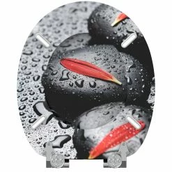 SANILO® WC-Sitz mit Absenkautomatik Elegance 15 SANILO® WC-Sitz mit Absenkautomatik Elegance -Badaccessoires Verkäufe ebb2ff0cdb224edd9f47f2b4b69801d7